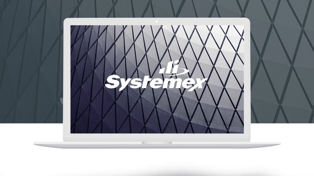 View of the Systemex logo on a computer screen